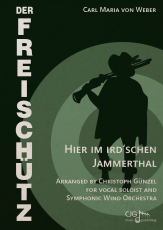 Hier im irdschen Jammerthal